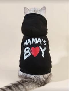 MAMA'S BOY フード付き猫用パーカー XS 子猫用のサムネイル