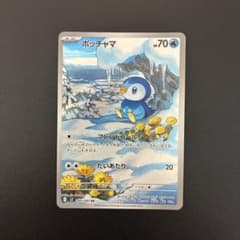 ポッチャマ AR | Shop at Mercari from Japan! | Buyee