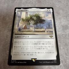MTG　日本語版　白の木に花開く