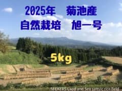 令和7年産 自然栽培米 5kg【旭一号】無農薬無肥料 手植え 手刈り 掛け
