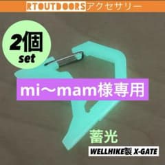 [축광]골 제로 ZIG 엑스게이트 X-GATE 2개 앰버 글로브 없음