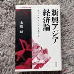 新興アジア経済論 キャッチアップを超えてのサムネイル