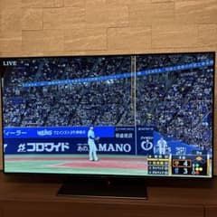 Panasonic VIERA TH-55FZ950 有機ELテレビ2018年製 - メルカリ