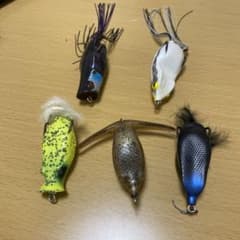 フロッグセットのサムネイル