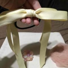 ゆゆちゃま様専用のサムネイル