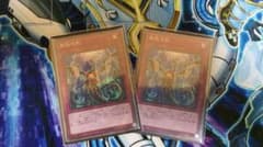 遊戯王 無限泡影 2枚のサムネイル