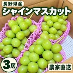 シャインマスカット 3房 大粒 長野県産 農家直送　S2のサムネイル