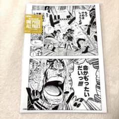 ONE PIECE BASE SHOP ALL PAGES 코비 정상 전쟁