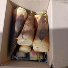 兵庫県産　タケノコ10キロ弱のサムネイル
