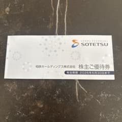 相鉄ホールディングス　株主優待券のサムネイル