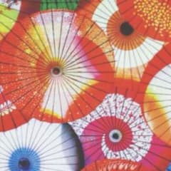 専用のサムネイル