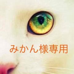 専用のサムネイル