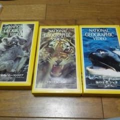 ナショナルジオグラフィック ビデオのサムネイル