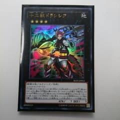 十二獣ドランシアのサムネイル