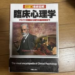 カラー版 徹底図解 臨床心理学 フロイトの理論から現代の臨床事例までのサムネイル