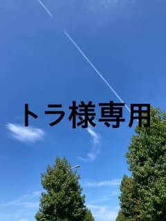 トラ様専用のサムネイル