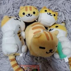 고양이 아츠메 시로챠토라씨 챠토라씨 봉제인형 마스코트 5개 세트