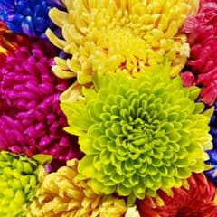 【専用品】のサムネイル