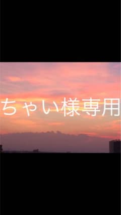 ちゃいさん専用です。のサムネイル