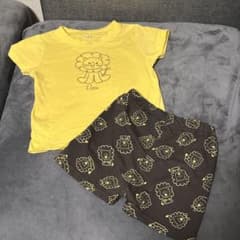 ライオン セットアップのサムネイル