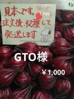 GTO様専用、ゆうパケットプラス箱いっぱいでお送り致しますのサムネイル