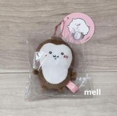 치이카와 딱정벌레 마스코트
