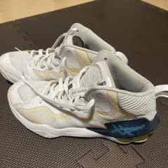 ASICS NOVA SURGE バスケットボールシューズのサムネイル
