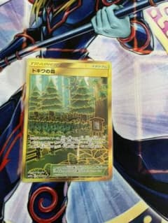 ポケモンカード　トキワの森urのサムネイル