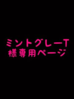 ミントグレーT様専用ページのサムネイル