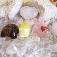 確認用のサムネイル