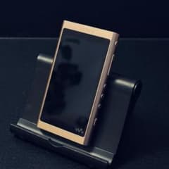 使用感少なめ】SONY ウォークマン NW-A56 ペルーゴールド - メルカリ
