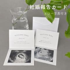 ▶︎ 折りたたみ式 妊娠報告 カード エコー写真 サプライズ ベビー マタニティのサムネイル