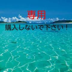 ＊専用　購入しないで下さい！のサムネイル