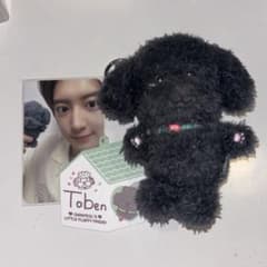 EXO チャニョル トベン ぬいぐるみ EXO チャニョル トベン ぬいぐるみ - メルカリ