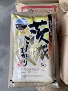令和8年産 新米 コシヒカリ 精米5kg 茨城県産 2026年産 送料無料