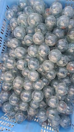 ガラス玉 浮き玉 漁具 約6㎝ 100個 - メルカリ
