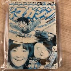 週刊少年マガジン 第24号 1973年のサムネイル