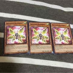 遊戯王 プリミティブバタフライ3枚 米版のサムネイル