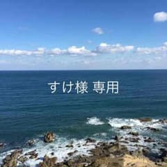 ホリスター フルジップパーカーのサムネイル