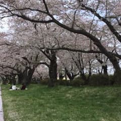 あいかわさん用のサムネイル