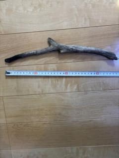 天然流木のサムネイル