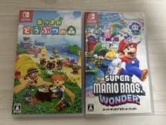 Switchあつまれどうぶつの森 スーパーマリオブラザーズワンダーセット