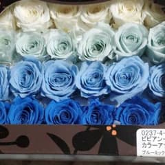 大地農園ビビアンカラーアソートのサムネイル