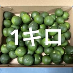 ハウススダチ 家庭用 約1キロ - メルカリ