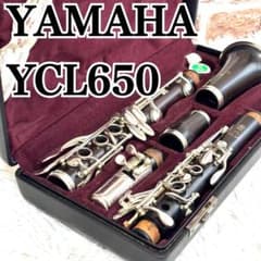✨美品✨YAMAHA YCL650 クラリネット　ハードケース　バッグ ✨美品✨YAMAHA YCL650 クラリネット ハードケース バッグ - メルカリ