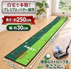 パターマット 練習器具 ゴルフ パッティング　練習　250×30cmのサムネイル