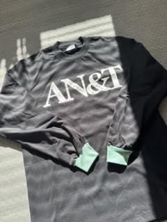 数量限定商品】anytee AN&T 長袖カットソー - メルカリ