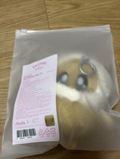 miniteen ICECREAM ポップアップ ぬいぐるみキーリング ミンギュ