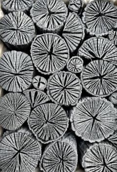 伊予の切炭 】約6kg 菊炭 黒炭 太め - メルカリ