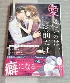 愛したいのは、お前だけ～天才外科医の甘い策略～【財閥御曹司シリーズ】 1 愛したいのは、お前だけ～天才外科医の甘い策略～【財閥御曹司
